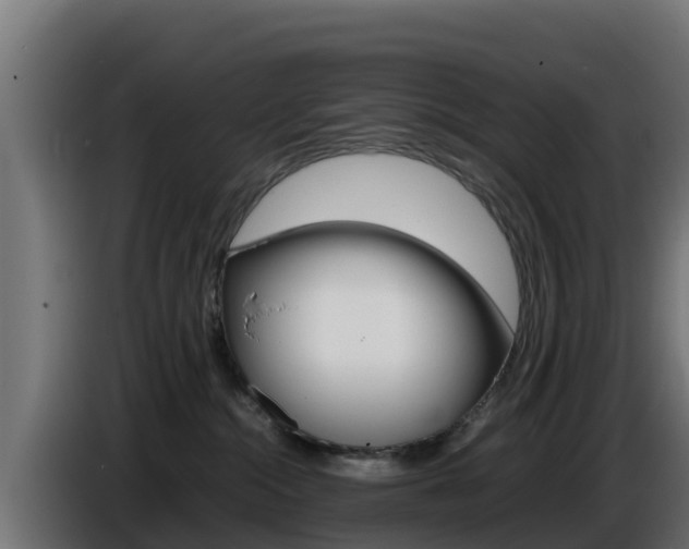X0000086770284200704130843