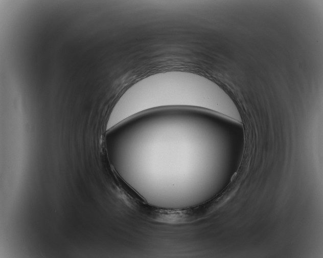 X0000086770288200704130843