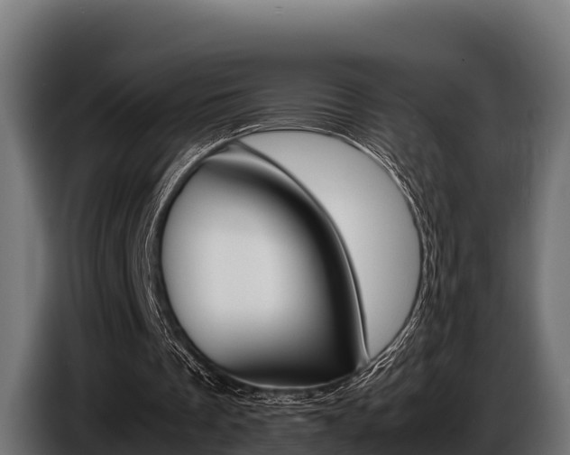 X0000086770289200704130843