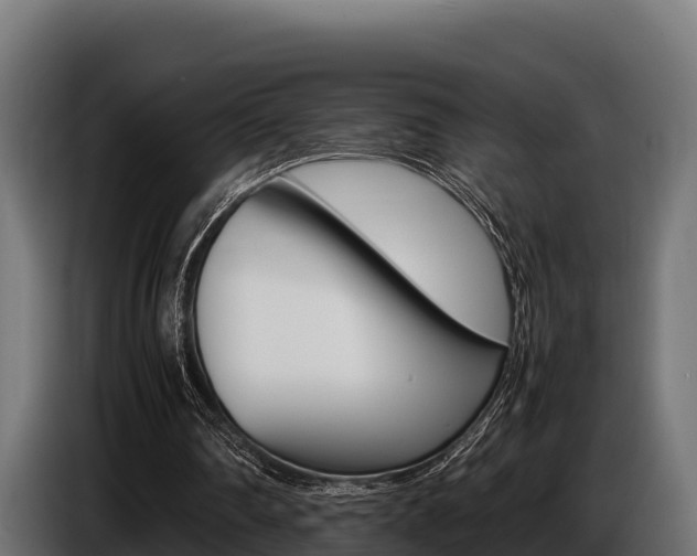 X0000086770290200704130843