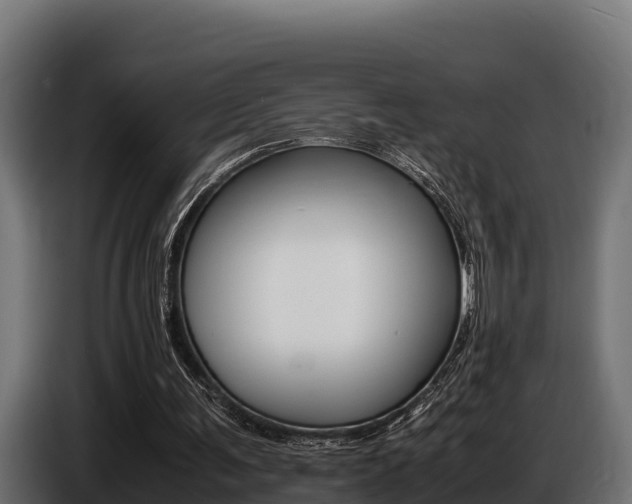 X0000086770291200704130842