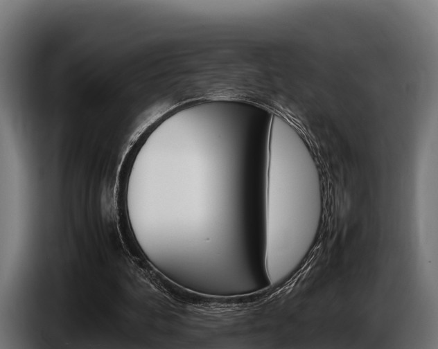 X0000086770292200704130842