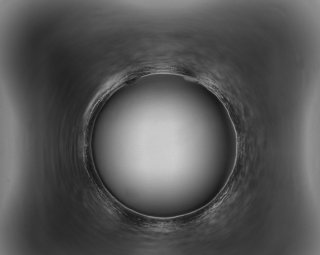 X0000086770293200704130842