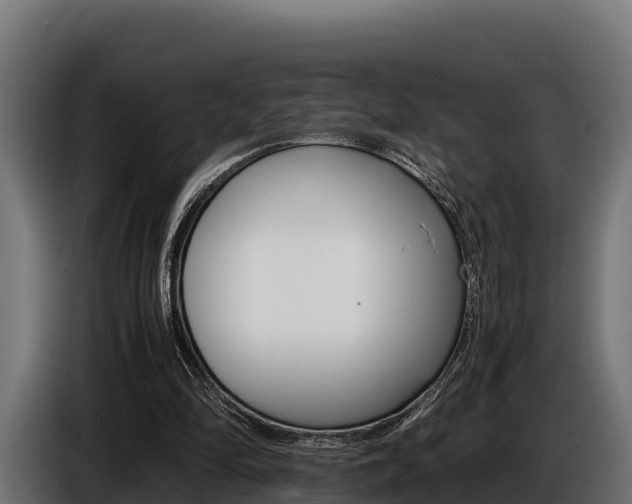 X0000086770294200704130842