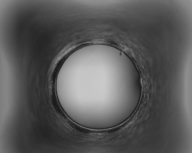 X0000086770295200704130842