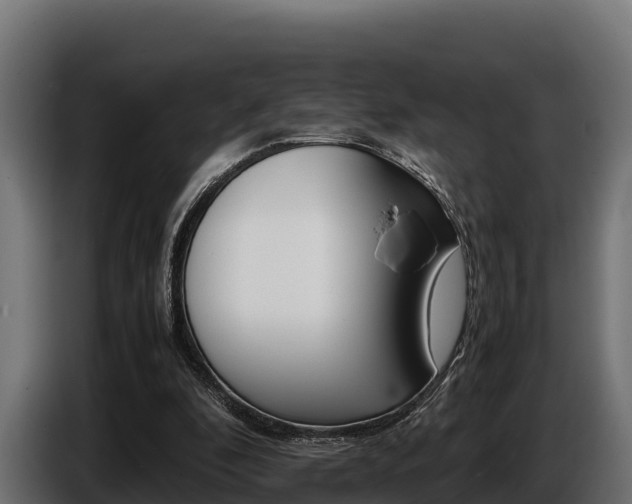 X0000086770296200704130842