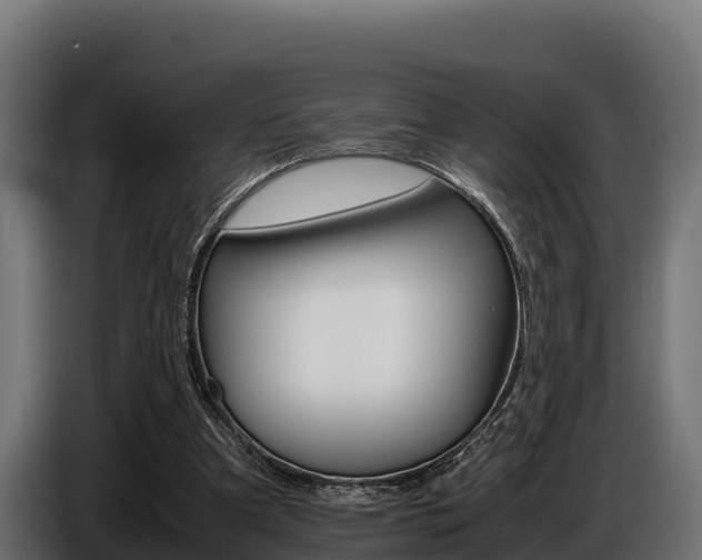 X0000086770297200704130842