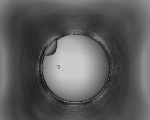X0000086770298200704130842