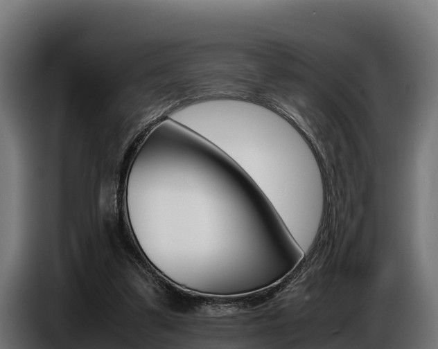 X0000086770299200704130842