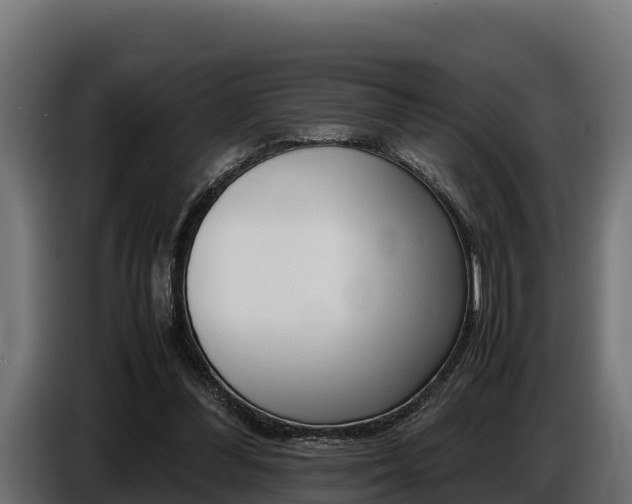 X0000086770300200704130842