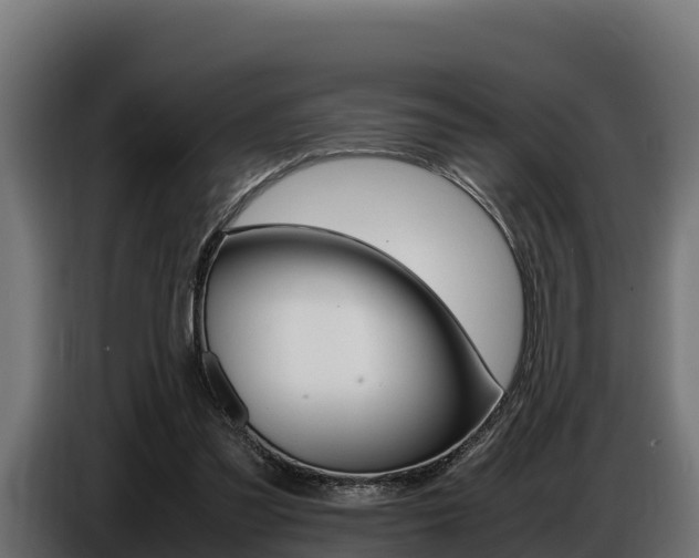 X0000086770301200704130842