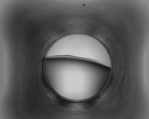 X0000086770303200704130842