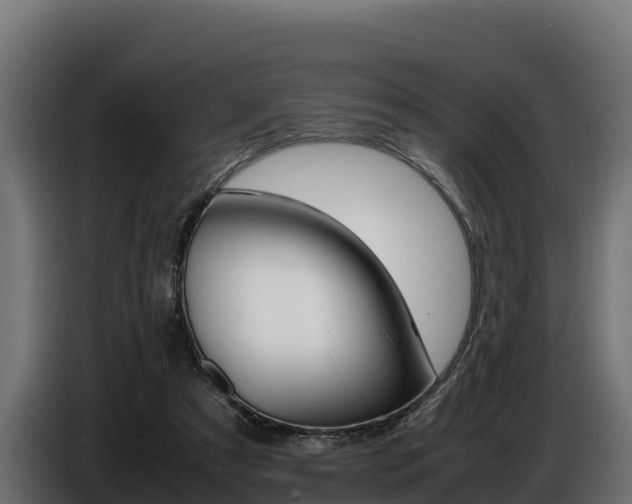 X0000086770305200704130842