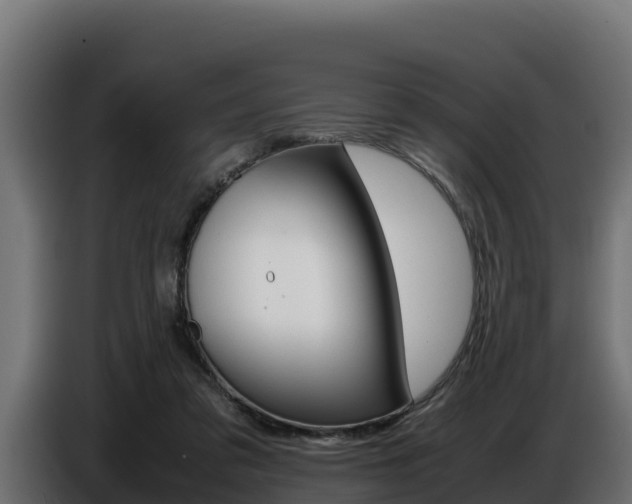 X0000086770309200704130842