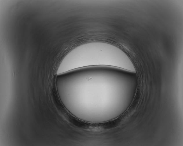 X0000086770311200704130842