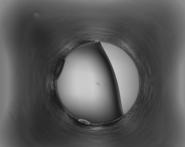 X0000086770313200704130842