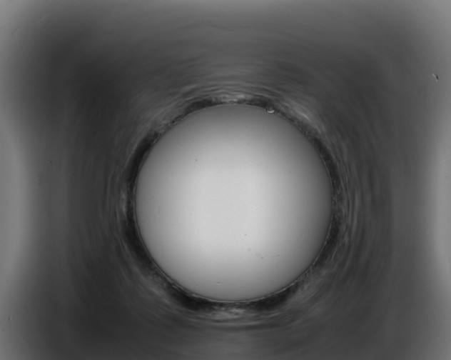 X0000086770315200704130842