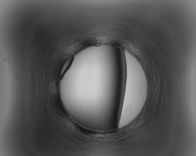 X0000086770317200704130842
