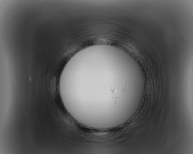 X0000086770318200704130842