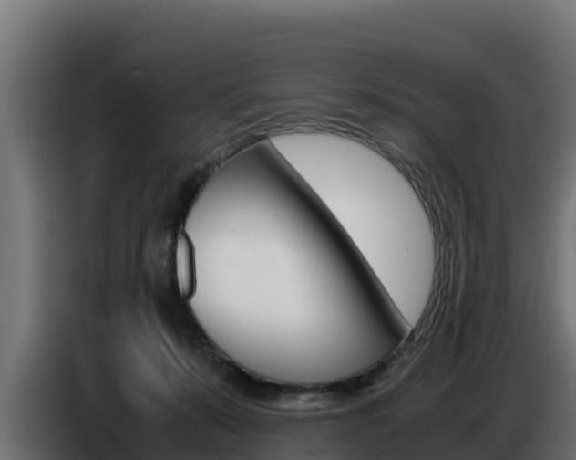 X0000086770319200704130842