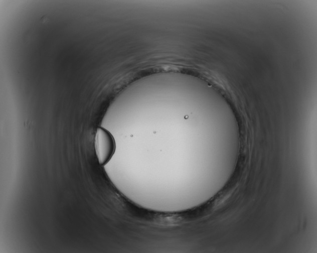 X0000086770321200704130842