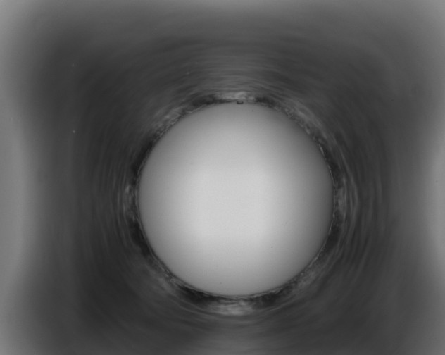X0000086770322200704130842