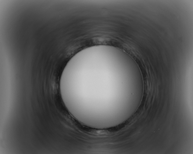 X0000086770324200704130842