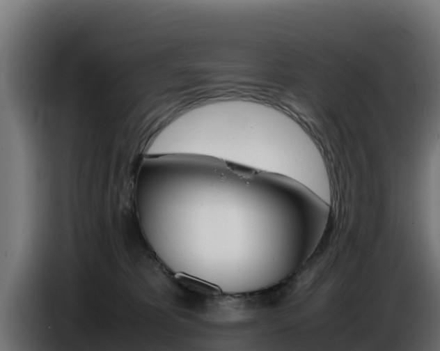X0000086770325200704130842