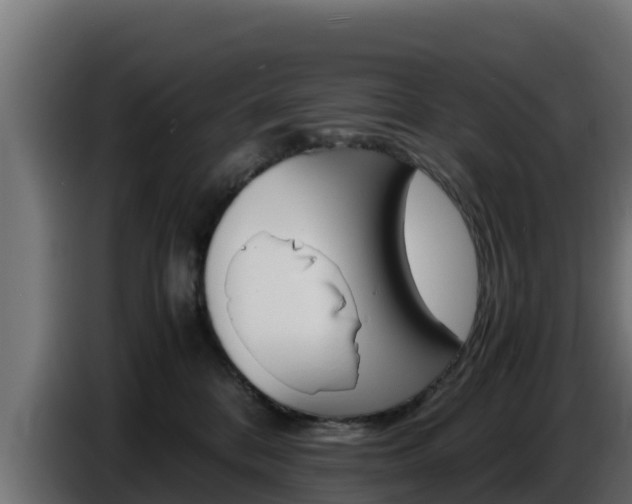 X0000086770328200704130842