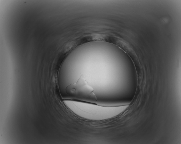 X0000086770329200704130842