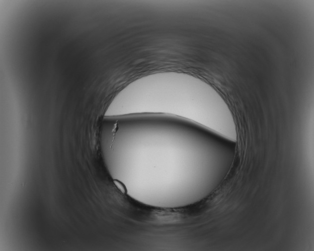 X0000086770331200704130842