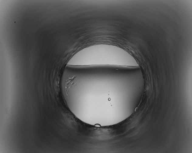 X0000086770332200704130842