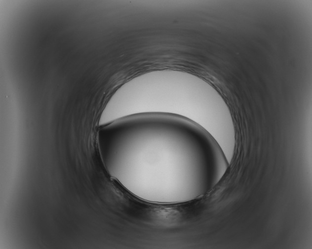 X0000086770333200704130842