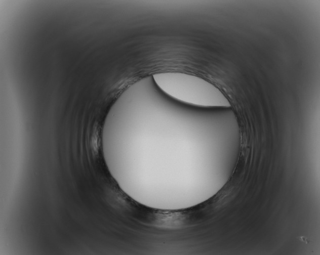 X0000086770334200704130842