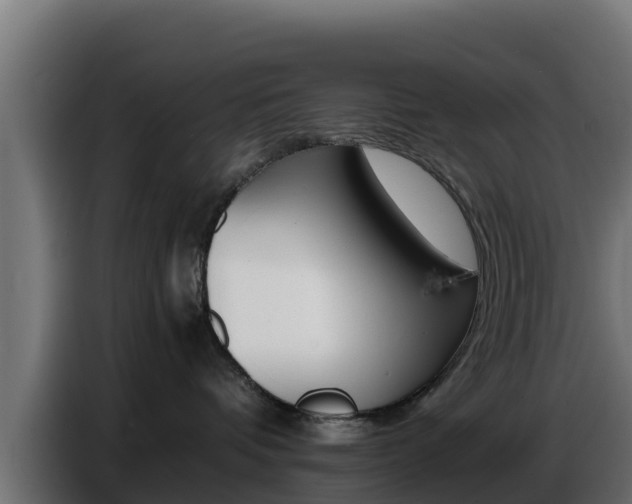 X0000086770336200704130842