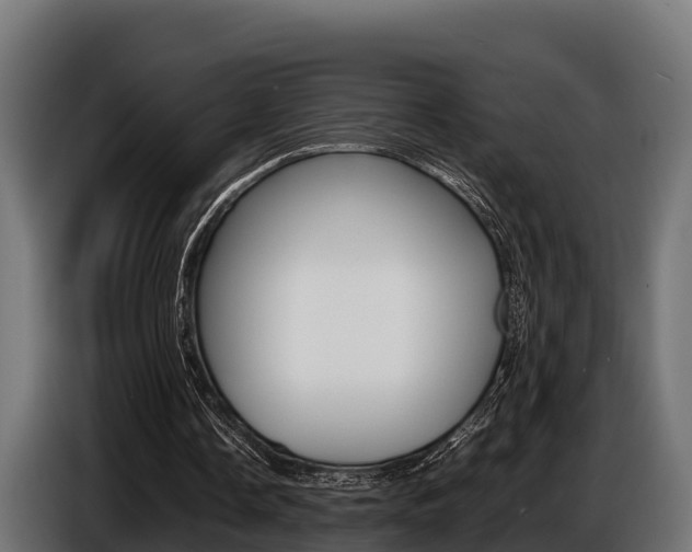 X0000086770338200704130841