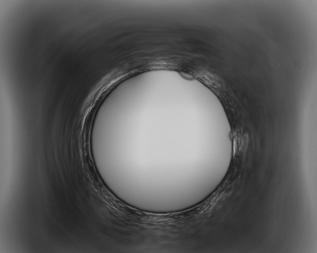 X0000086770339200704130841