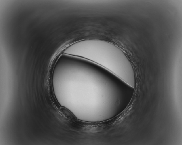 X0000086770341200704130841
