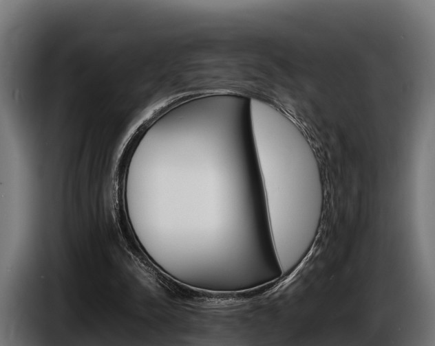 X0000086770342200704130841
