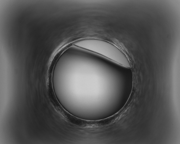 X0000086770344200704130841