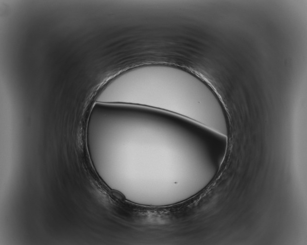 X0000086770345200704130841