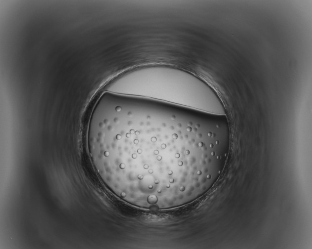 X0000086770346200704130841