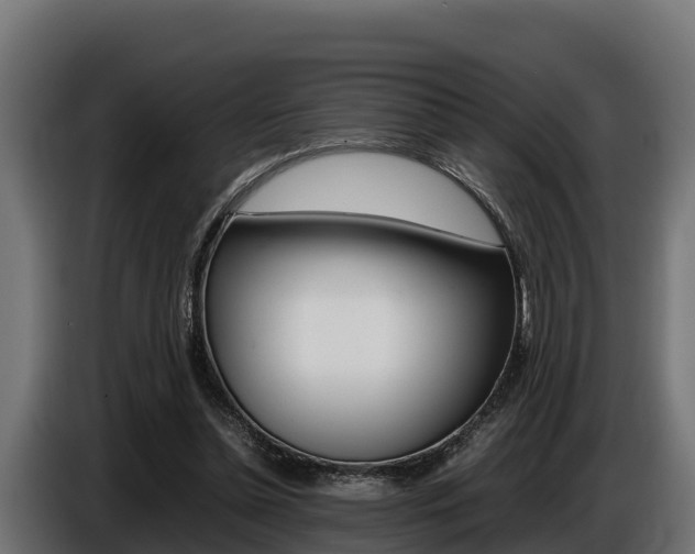 X0000086770348200704130841