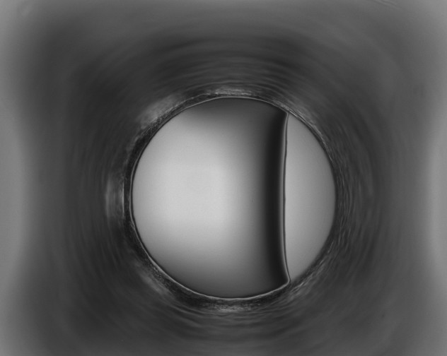 X0000086770349200704130841