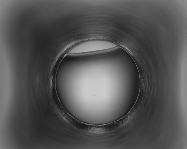X0000086770350200704130841