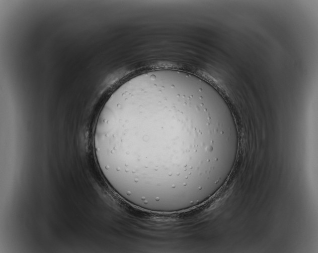 X0000086770351200704130841