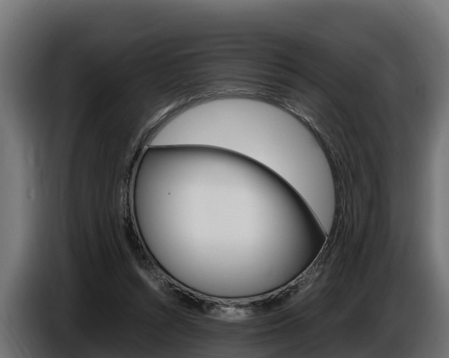 X0000086770352200704130841