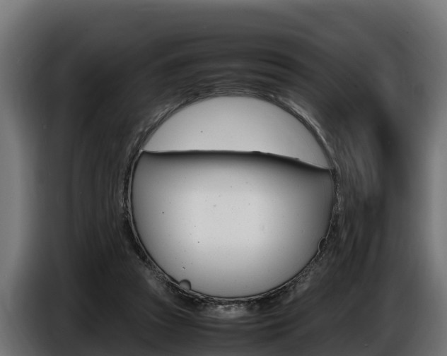 X0000086770353200704130841