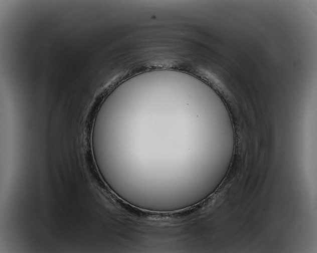 X0000086770354200704130841