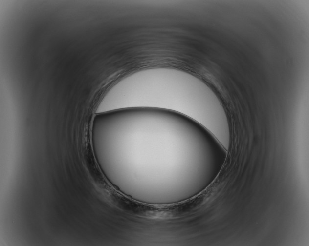 X0000086770356200704130841